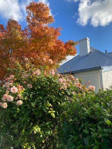 Orford'S Sanda House B&B Esterno foto